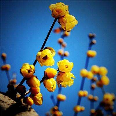 半岛登录入口-登录入口