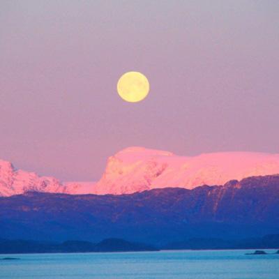 NG体育APP官方下载网址下载手机版