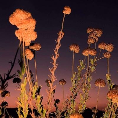 im电竞官方官网手机app下载